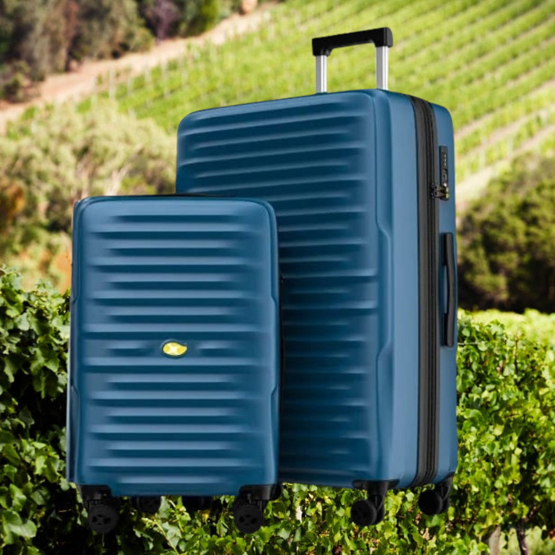 Wine Flight Case — 12 Bottle