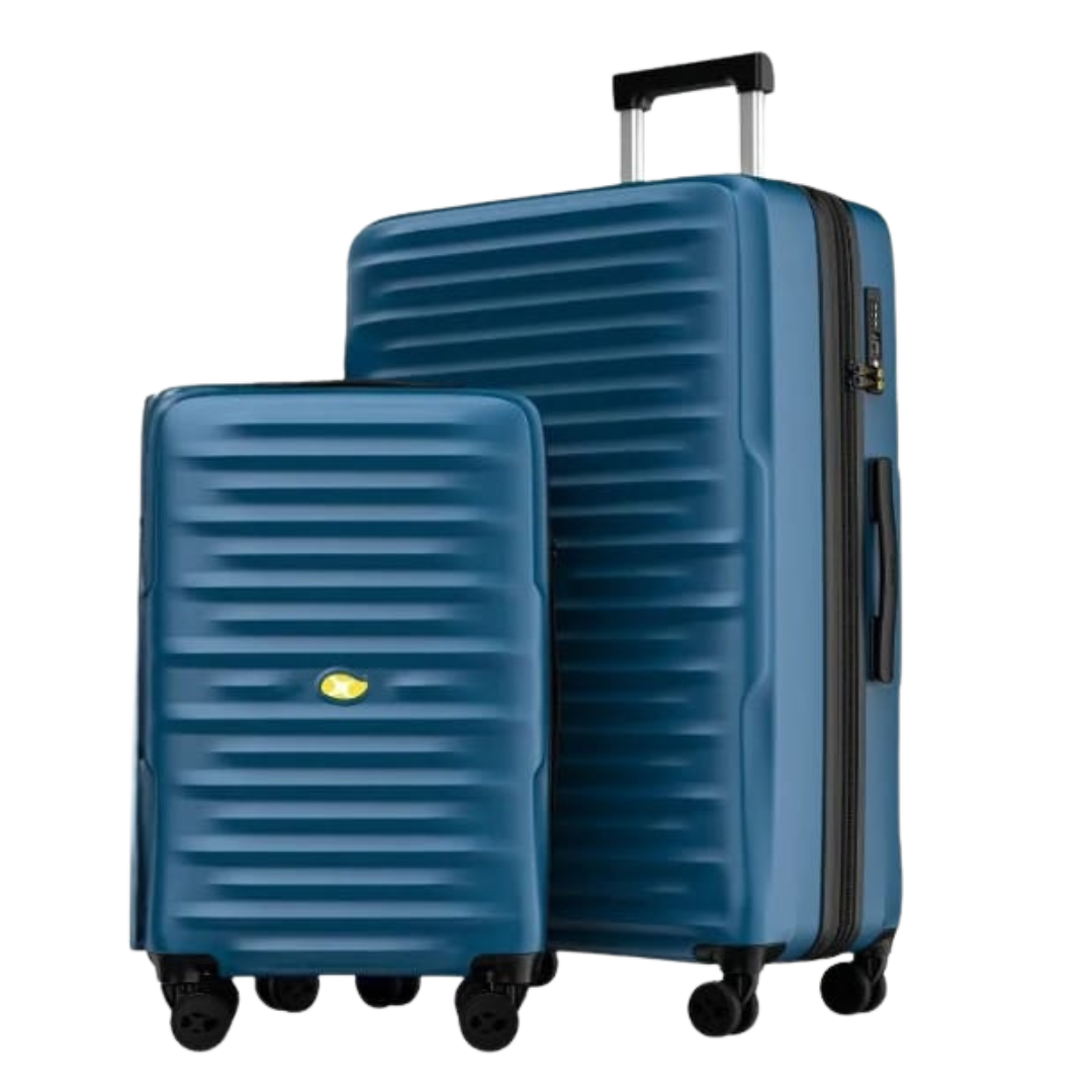 Wine Flight Case — 12 Bottle