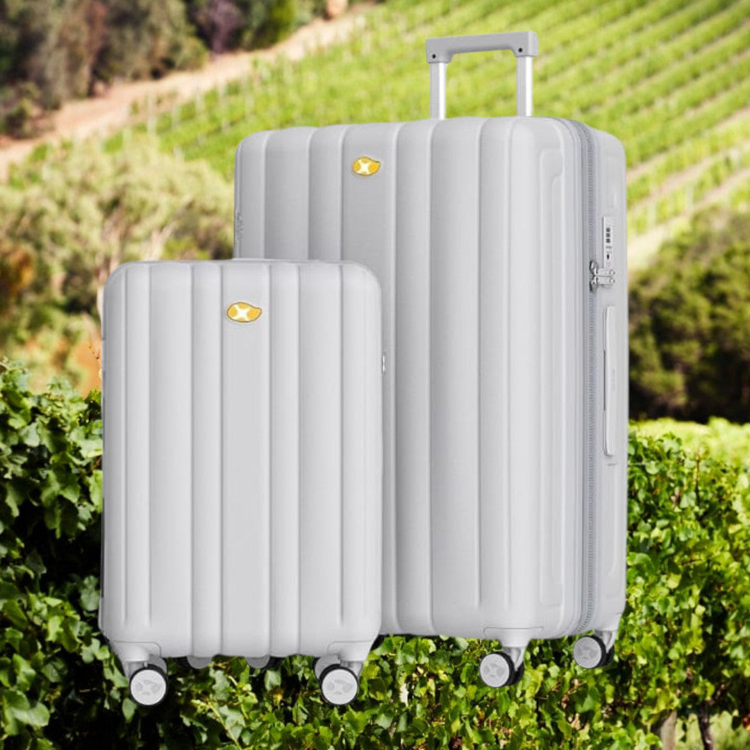 Wine Flight Case — 12 Bottle