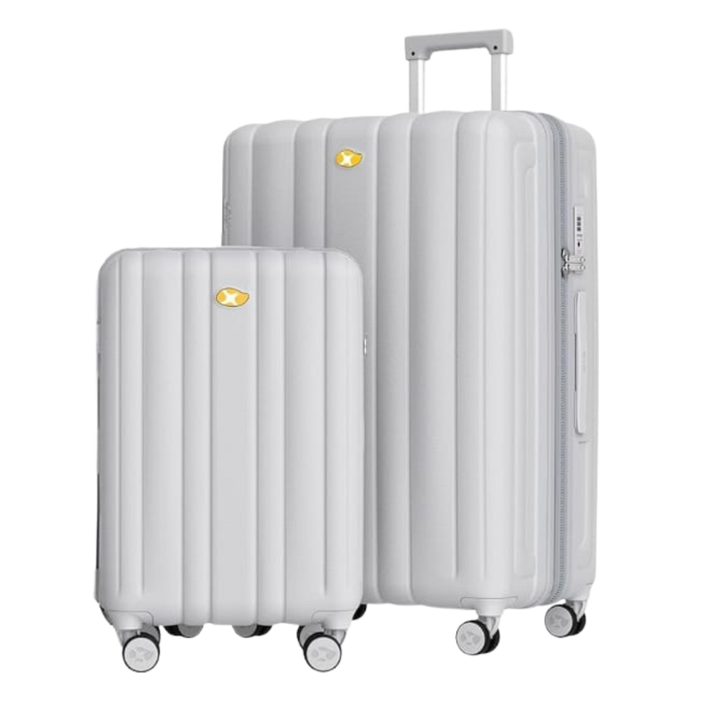 Traveller with Wine Flight Case