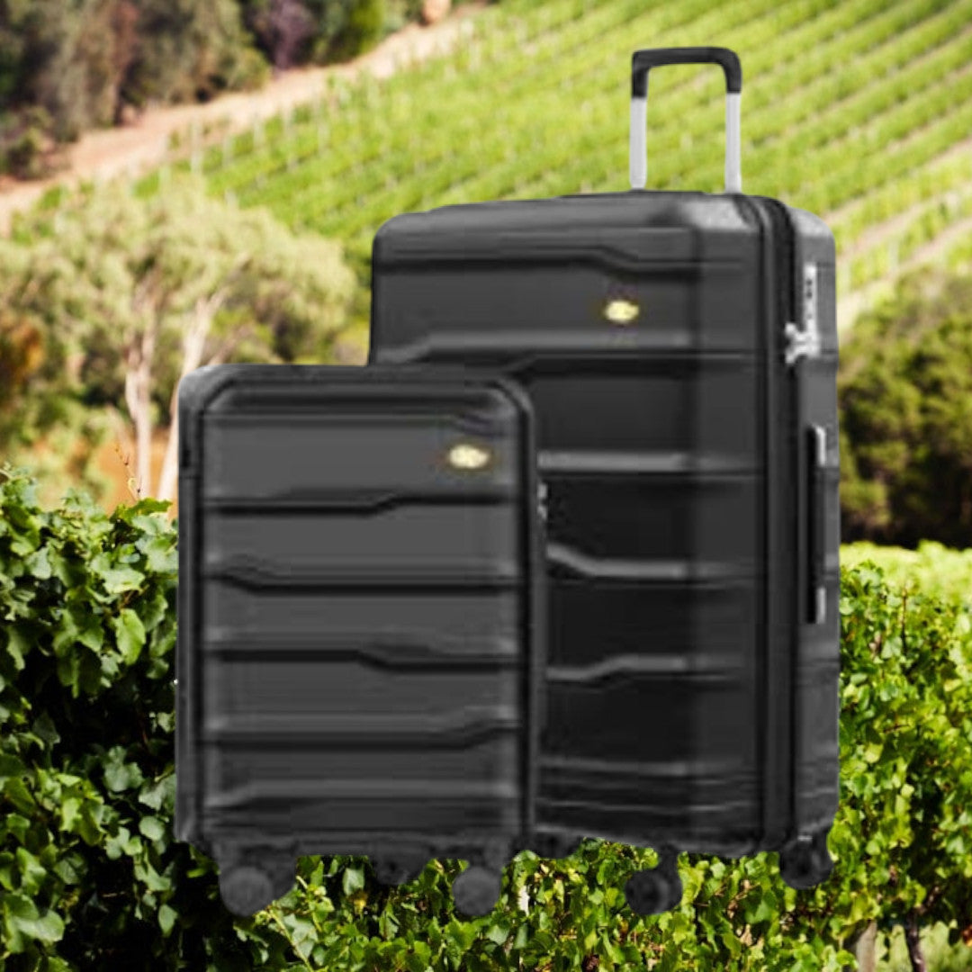 Wine Flight Case — 12 Bottle