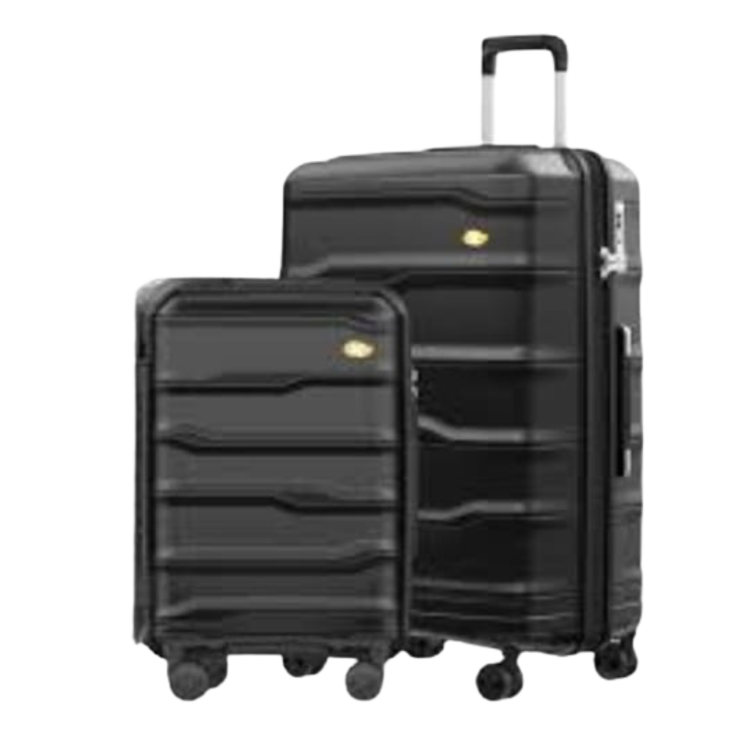 Wine Flight Case — 12 Bottle