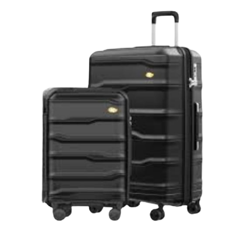 Traveller with Wine Flight Case