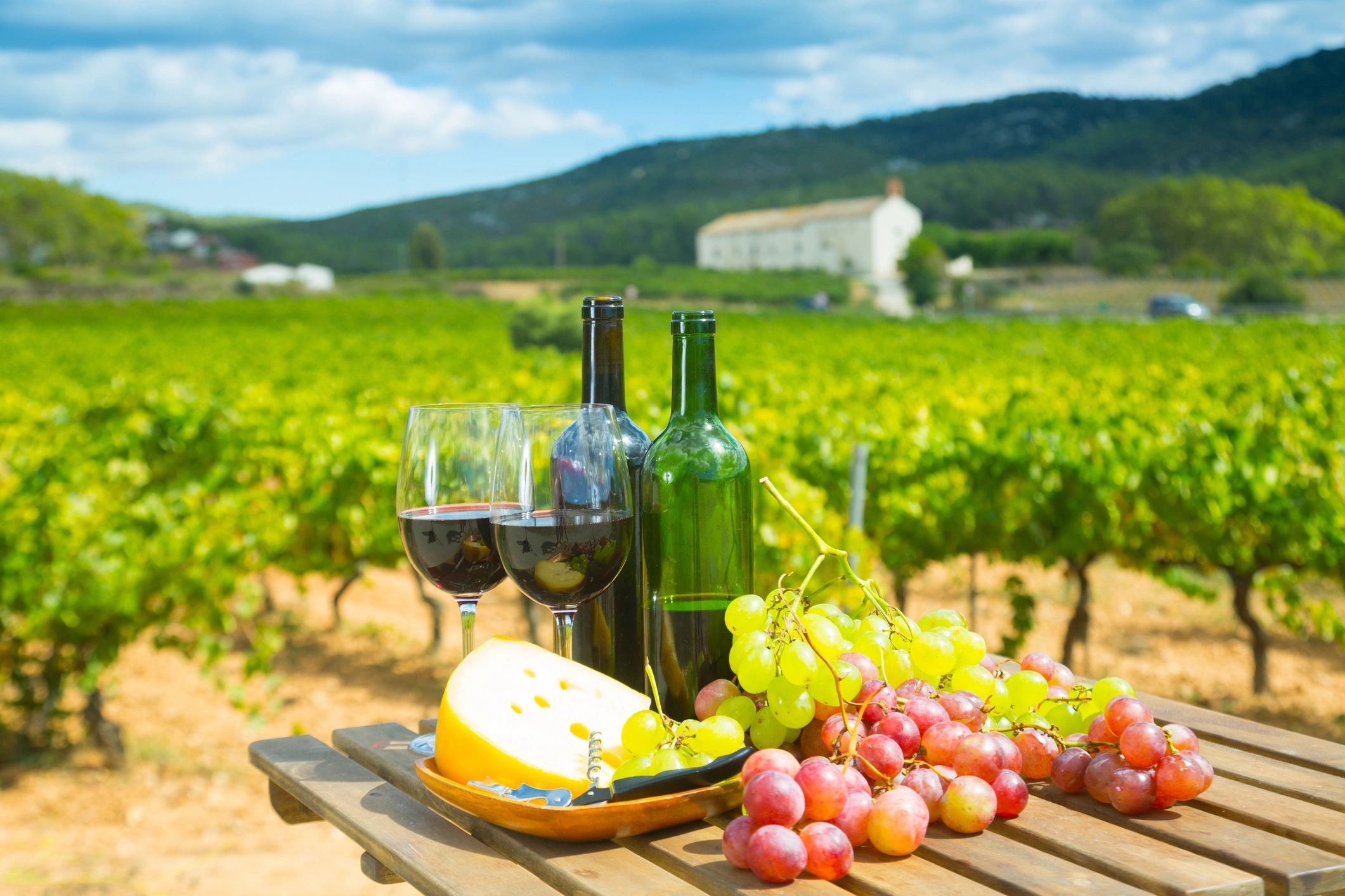 Red wine, cheese and grapes on a wooden table with vineyard in the background
